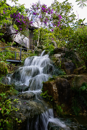 ファイル 1456-1.jpg