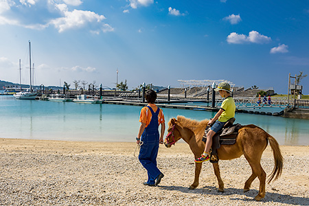 ファイル 1457-1.jpg