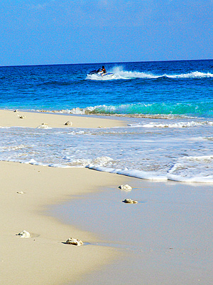 ファイル 553-1.jpg