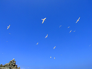 ファイル 553-4.jpg