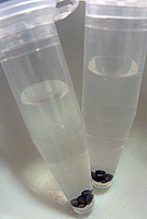 ファイル 556-2.jpg