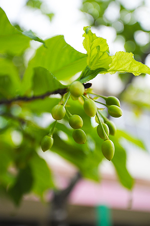 ファイル 675-1.jpg